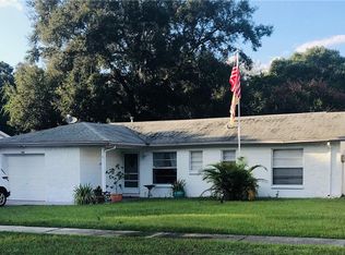 202 Circle Hill Dr, Brandon, FL 33510