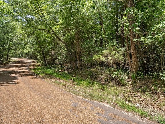 4th image of TRACT 4 Vz County Road 2205