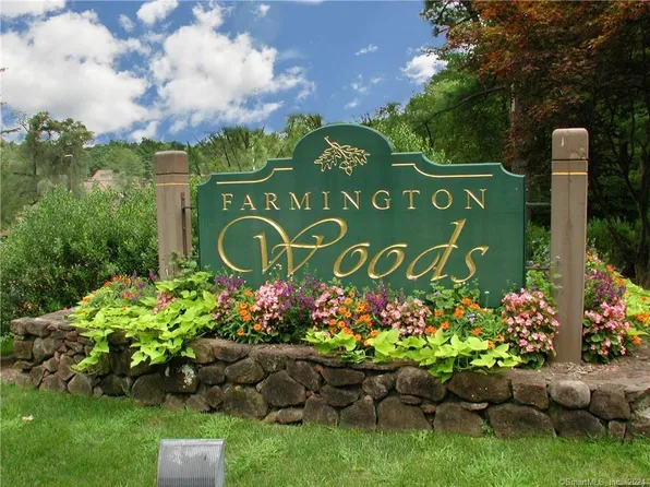 62 Mallard Drive #62, Farmington, CT 06001