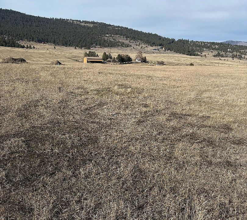 2nd image of Nhn Walking Horse Ln