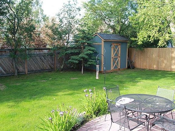 back yard