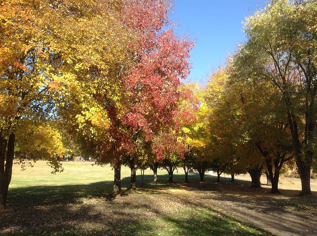 1800 Shackleburg Rd, Anderson, SC 29621 Zillow