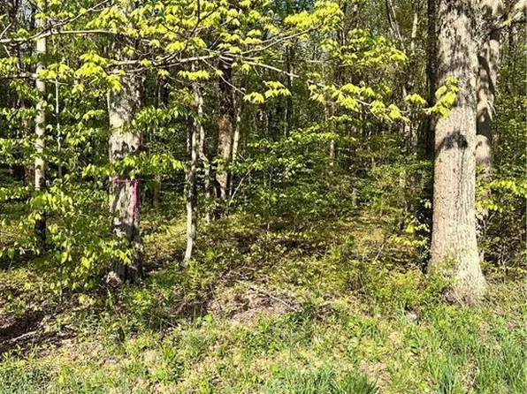 318 Birch Dr, Blakeslee, PA 18610