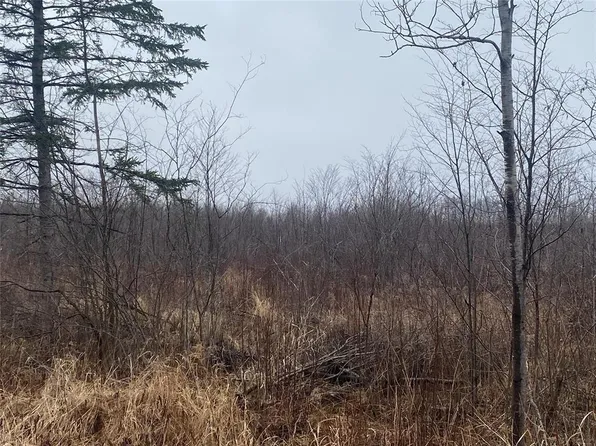 ON Shauger Road, Ogema, WI 54459