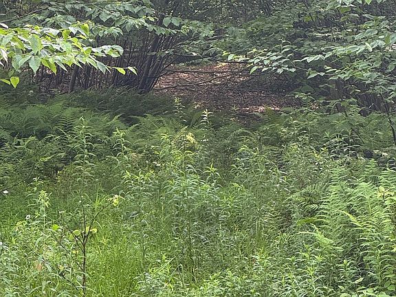 4th image of 264 E Bosket Rd