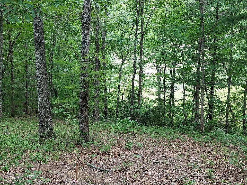 2nd image of Walton Dr