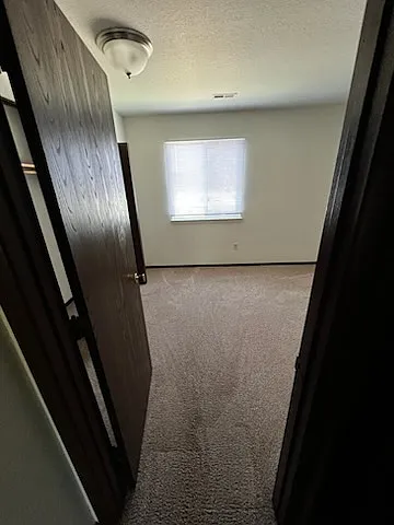 Cloverlane Apartments - 212 Cloverlane Street C — Photo 4