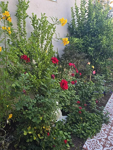(Undisclosed Address) Photo 1