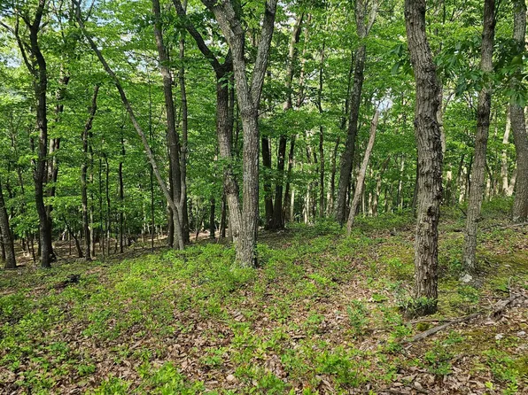 0 Dry Run Rd, Mercersburg, PA 17236