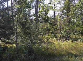 0 S Maple Valley Rd, Saint Helen, MI 48656