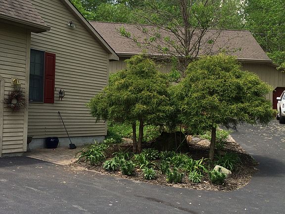 Plantings along driveway