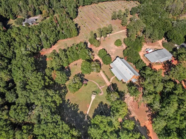 10135 S County Road 59, Midland City, AL 36350