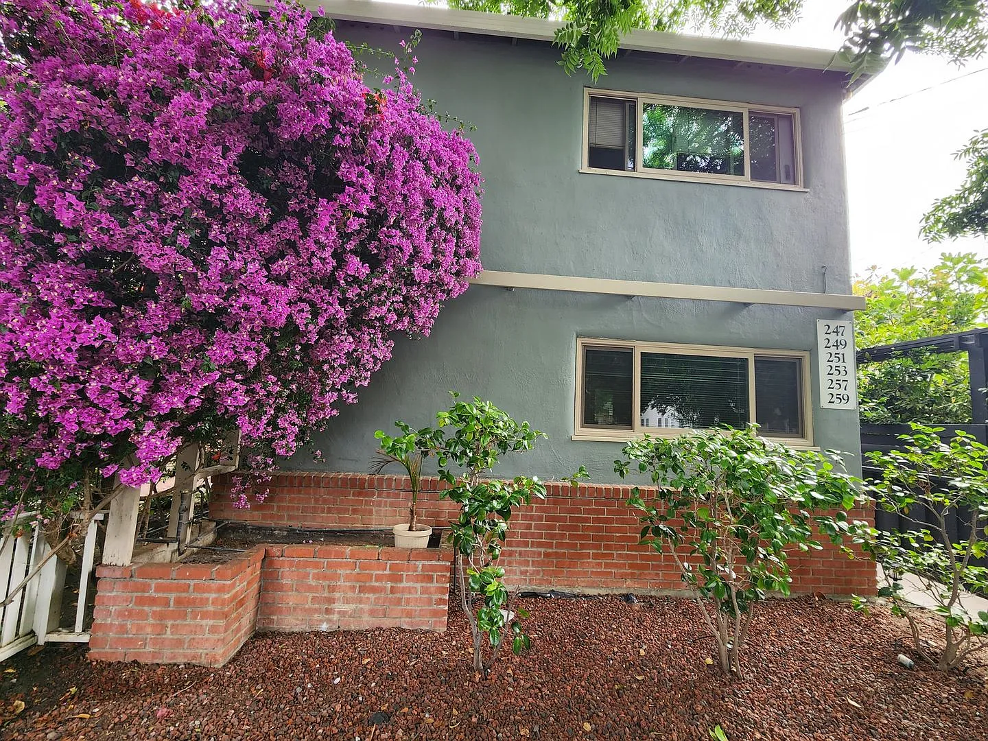 Newly Renovated 1BD/1BA Prime Downtown Location — Photo 1