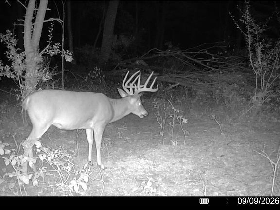 2nd image of 0 Long Hollow Rd