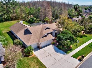 6410 Thoroughbred Loop, Odessa, FL 33556