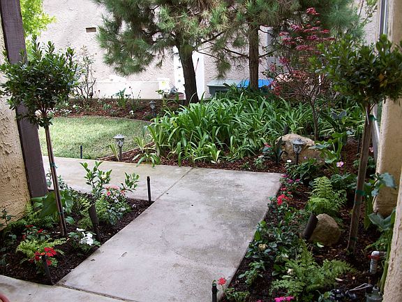 Looking out from the front door