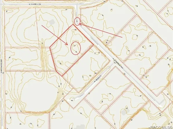 8124 N Jacaranda Way, Crystal River, FL 34428