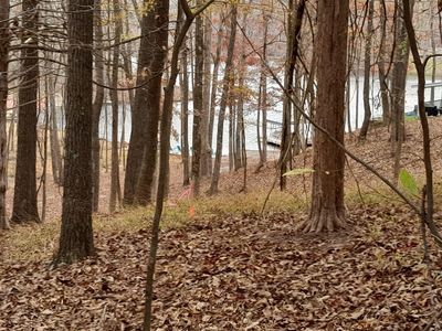 712 W Plum Cv, Saulsbury, TN, 38067