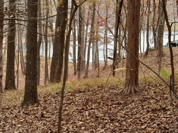 712 W Plum Cv, Saulsbury, TN 38067