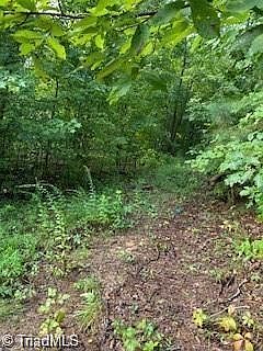 2nd image of 1131 Humming Bird Ln #21