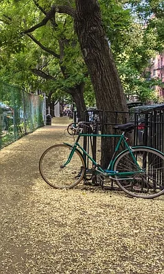 Rented by REAL New York | media 7