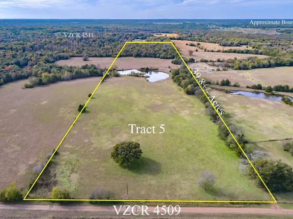 Vz County Road 4509, Ben Wheeler, TX 75754
