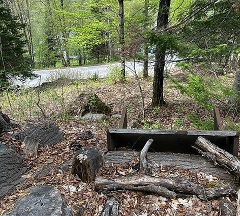5th image of Bushwolf Lake Rd