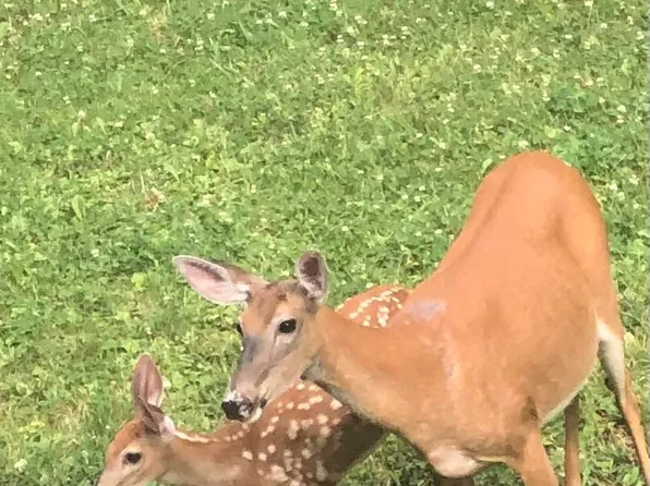 220 Helen Way, White Haven, PA 18661