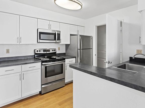 Kitchen with Stainless Steel Appliances