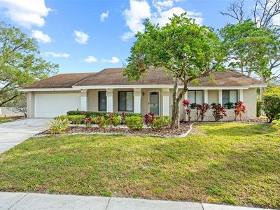 517 Seville Ave, Altamonte Springs, FL, 32714