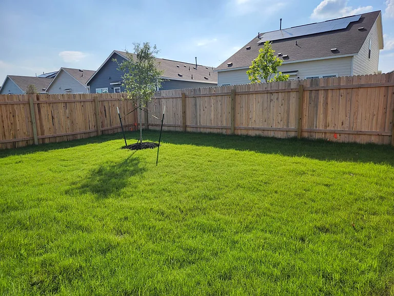 178 Northern Pintail Dr — Photo 6