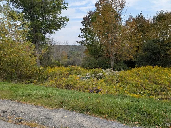 Sacco Rd #4, Hamilton, NY 13346