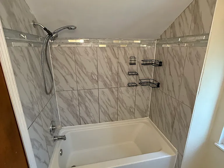 Main Bathroom Shower.