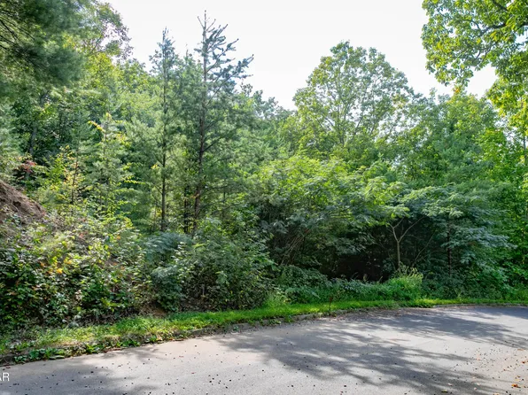 13 Lexy Ln Lot 13, Sevierville, TN 37862