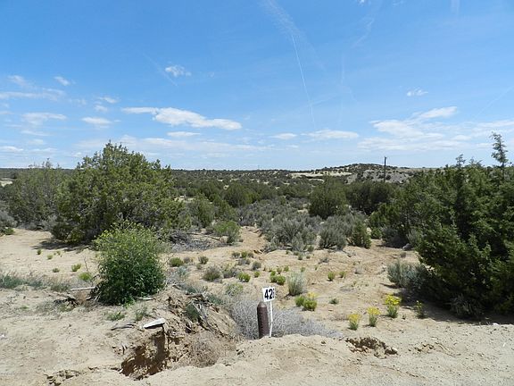 5th image of 6463 Castle Rock Cir