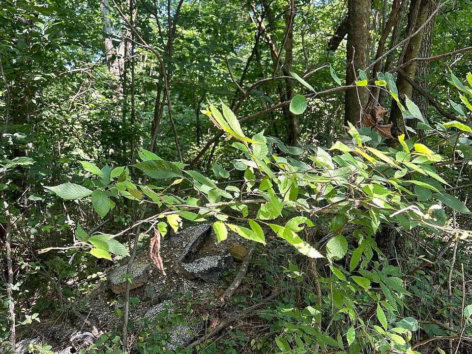 2nd image of 15000 N State Rd #450