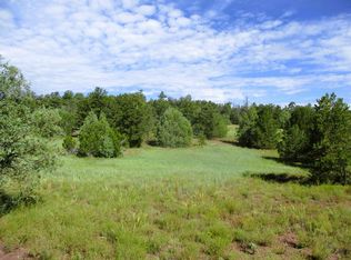 Lots 5 & 6 Black Bear Rd, Ramah, NM 87321