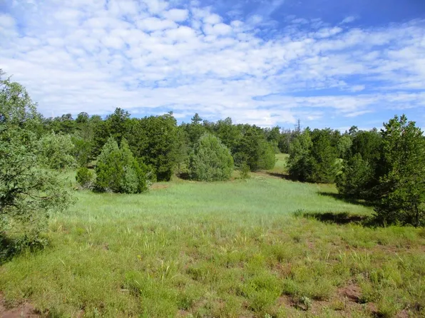 Lots 5 & 6 Black Bear Rd, Ramah, NM 87321