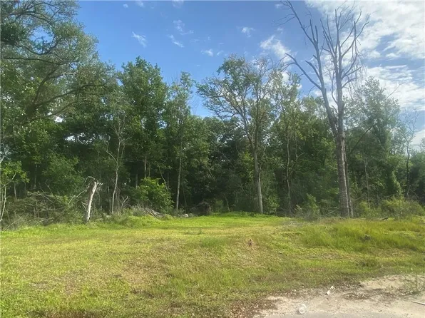 132 Wood Duck Dr, Belle Chasse, LA 70037