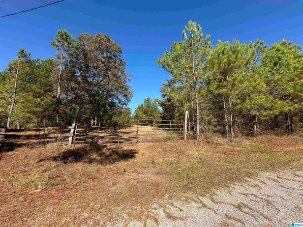 0 County Road 483 #0, Vincent, AL 35178