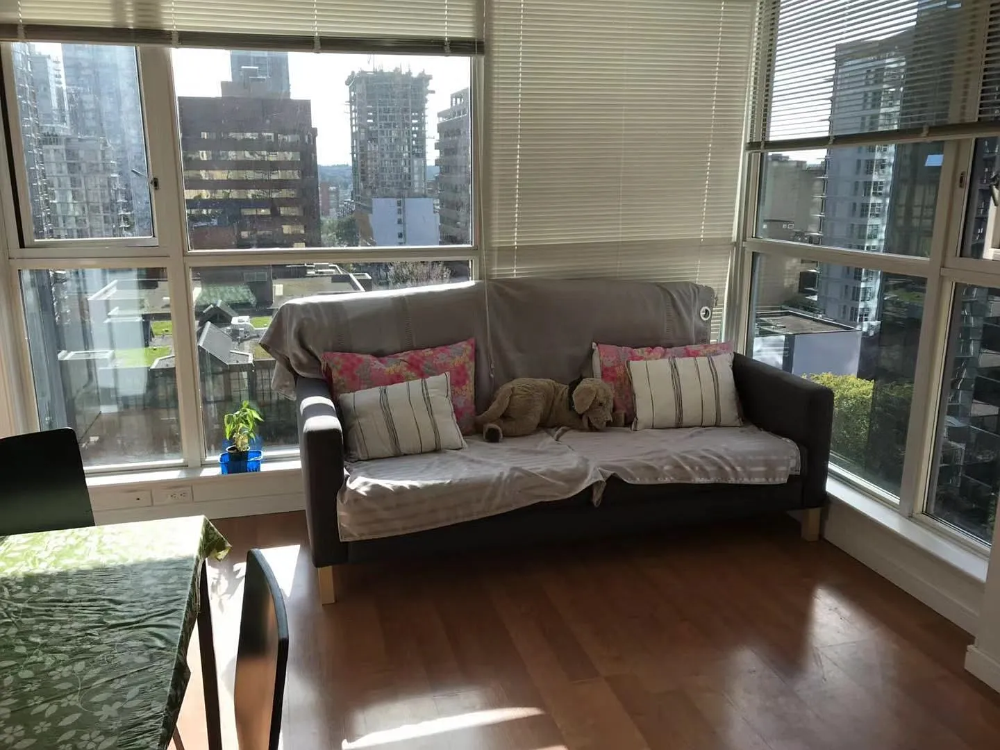 1 bed, 650 sqft, $3,200 — Photo 1