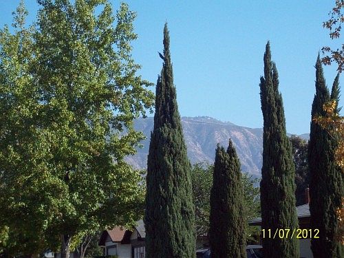 5th image of 4794 N Lakewood Dr