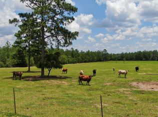 Cherokee Ln, Defuniak Springs, FL 32433