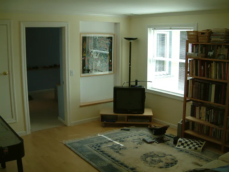 Downstairs family room