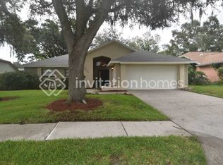 4110 Yellowwood Dr, Valrico, FL 33594
