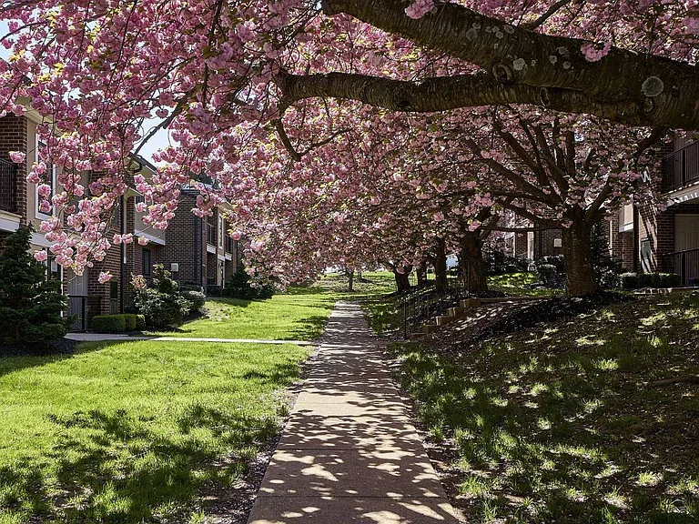 Walking Path