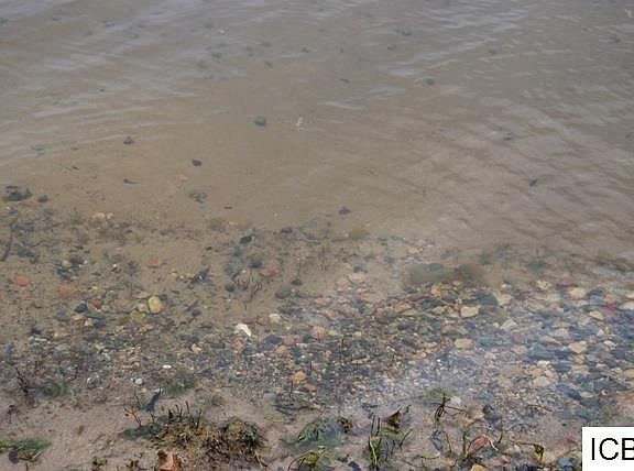 4th image of 30552 W Shore Dr