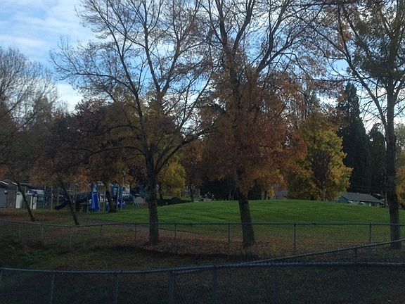 Park