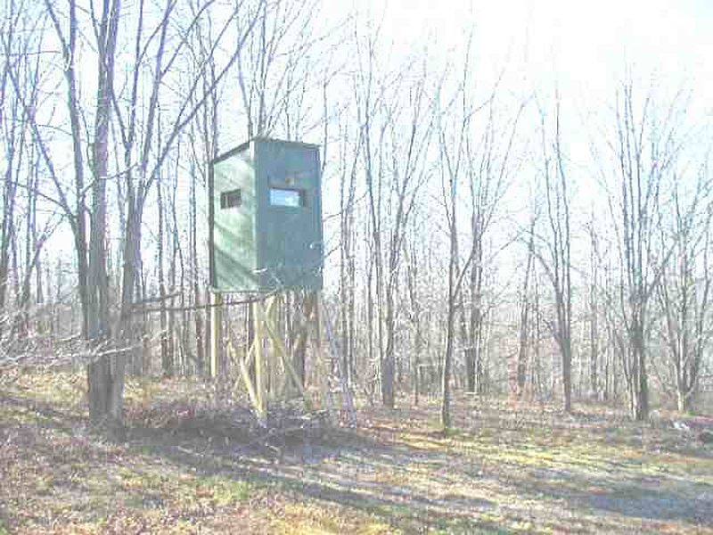 5th image of 359 ROSSMAN FLY Road