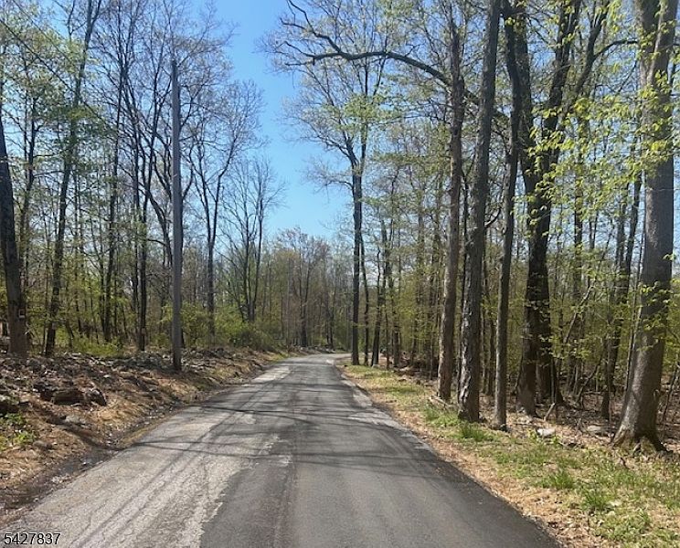 2nd image of 37 Courtright Rd